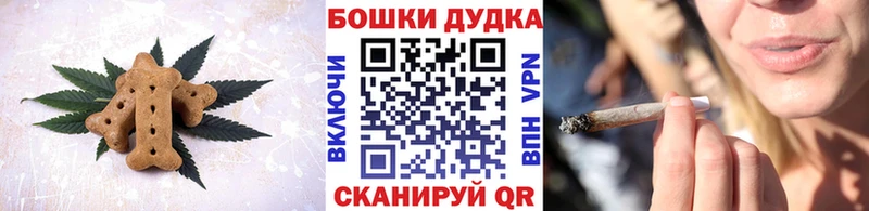 Купить где  Сураж  Canna-Cookies конопля 