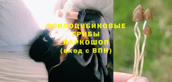 амфетамин Новозыбков