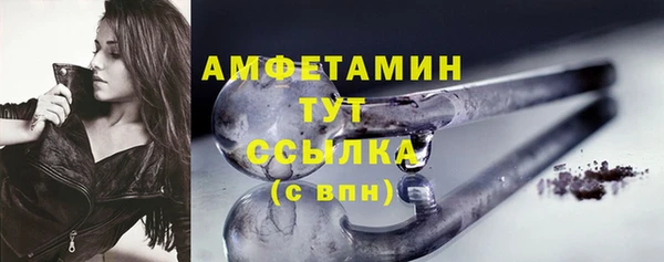 шишки Новокубанск