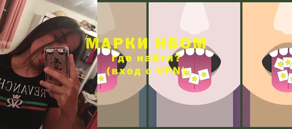 шишки Новокубанск