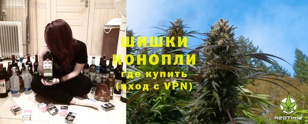 шишки Новокубанск