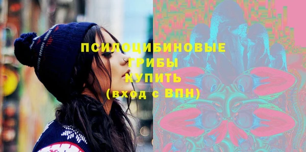 шишки Новокубанск