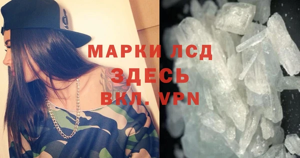 шишки Новокубанск