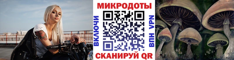 Купить где  Сураж  Псилоцибиновые грибы мицелий 